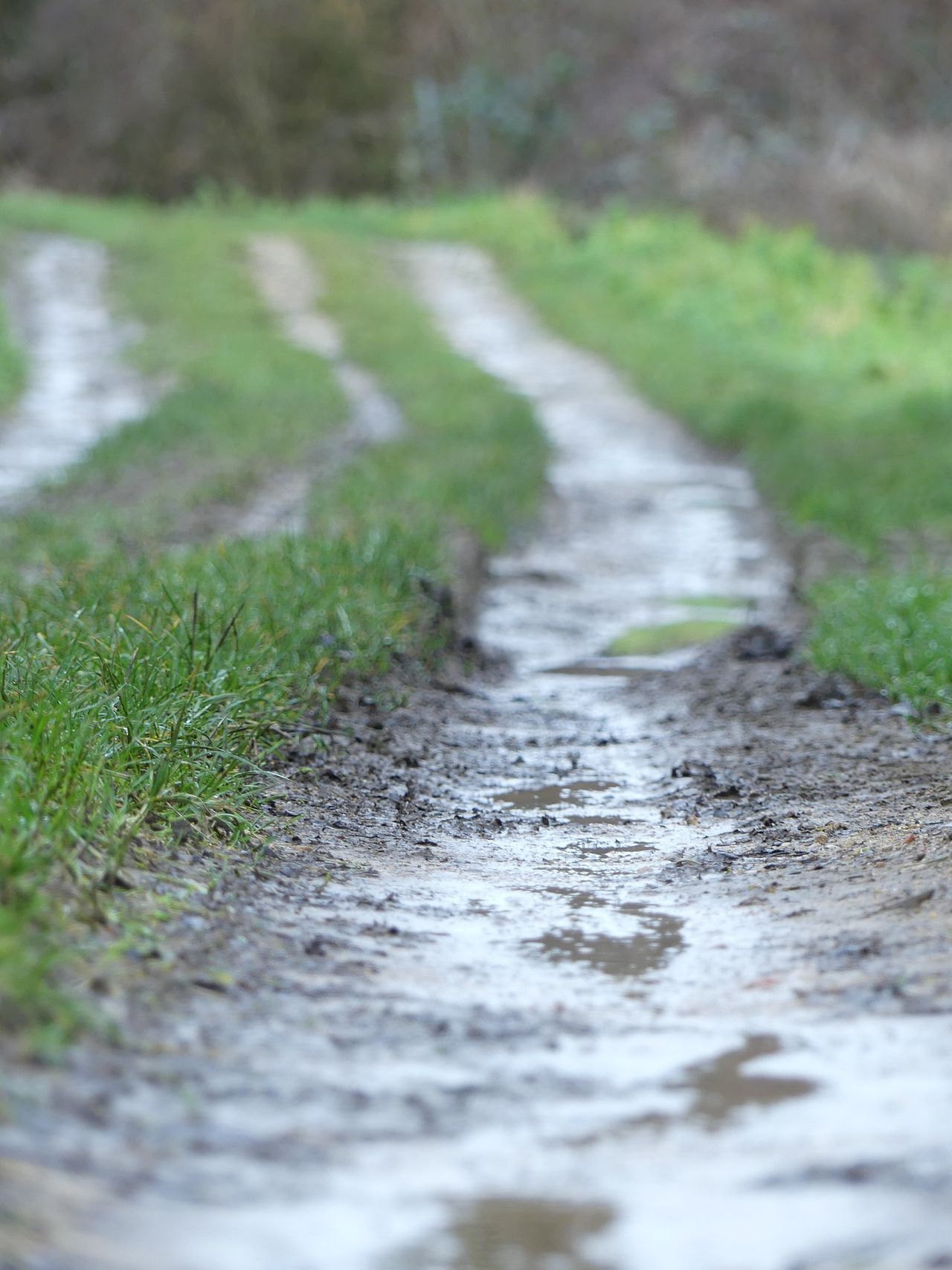 Weather: Unsettled with heavy rain at times, turning milder midweek