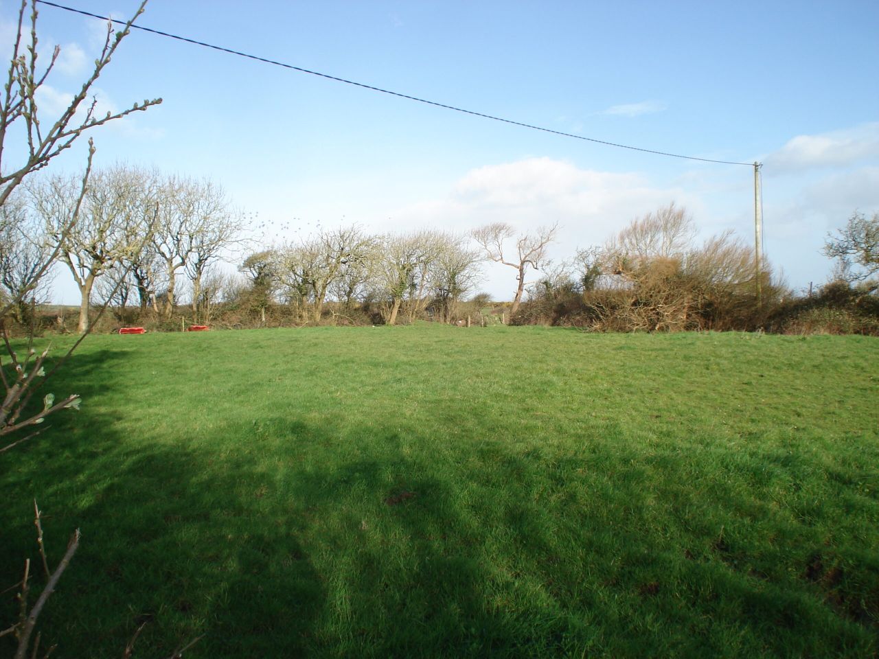 Connacht/Ulster land rental values increase - across enterprises