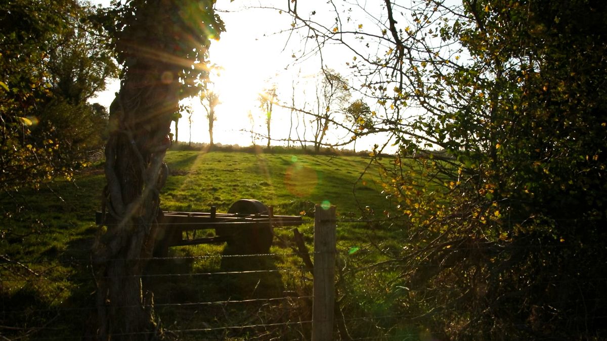 EU farm sustainability database moves closer