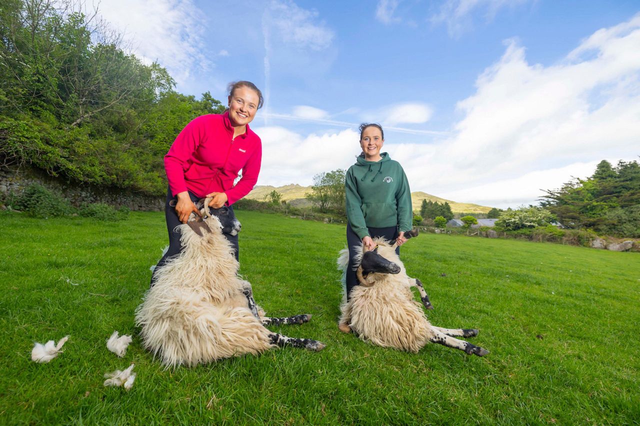Sisters Ellen Drohan (19)  and Alice (17) at their farm, Cooney’s Yard. Alice and Ellen will host traditional sheep shearing demonstrations at the festival. Source: Patrick Browne