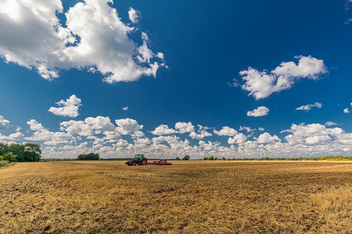 Tax Strategy Group: Ag sector has 'generous' range of tax reliefs