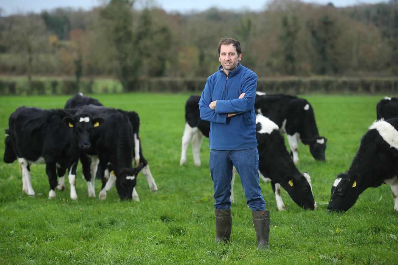 Award-winning farmer to host best practice dairy farm walk