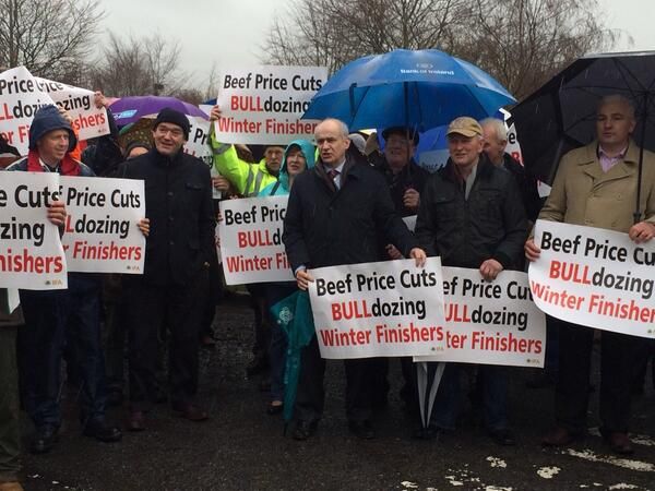 Coveney must act on cattle prices, IFA