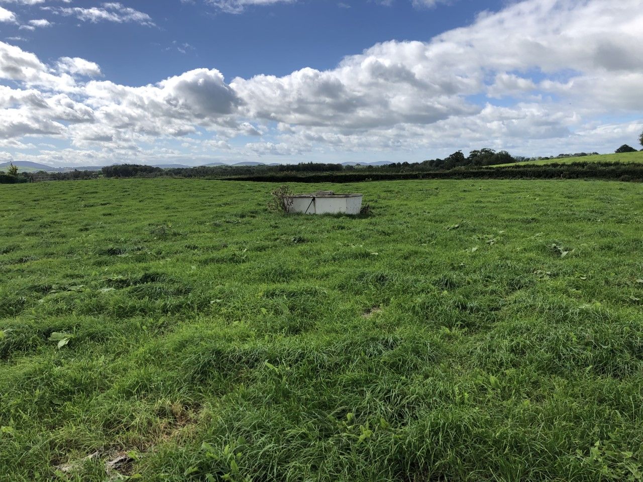 Grassland management: Turning attentions back to building covers