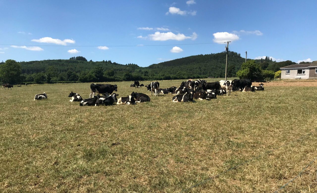 Can I grow more grass by spreading water on my paddocks?