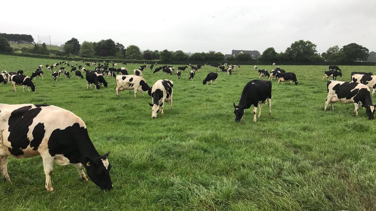 Award-winning farmer on how he achieves his grazing targets