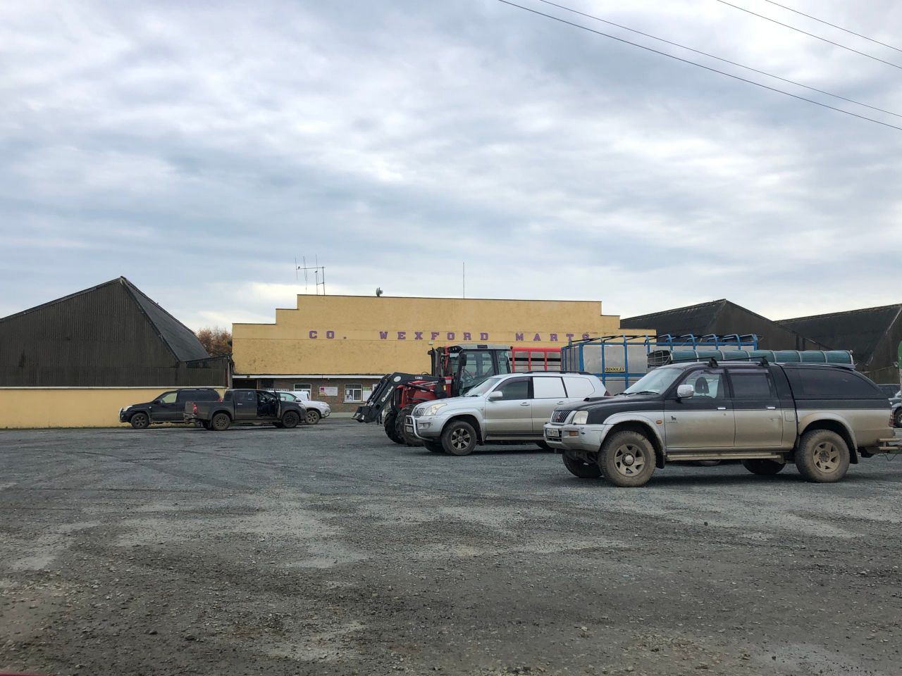 Mart report: Numbers ease but demand builds in Enniscorthy
