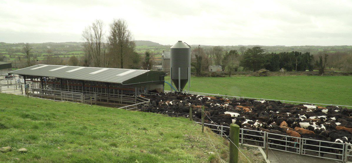 IFA: 'Farm income figures a wake up call for Government'