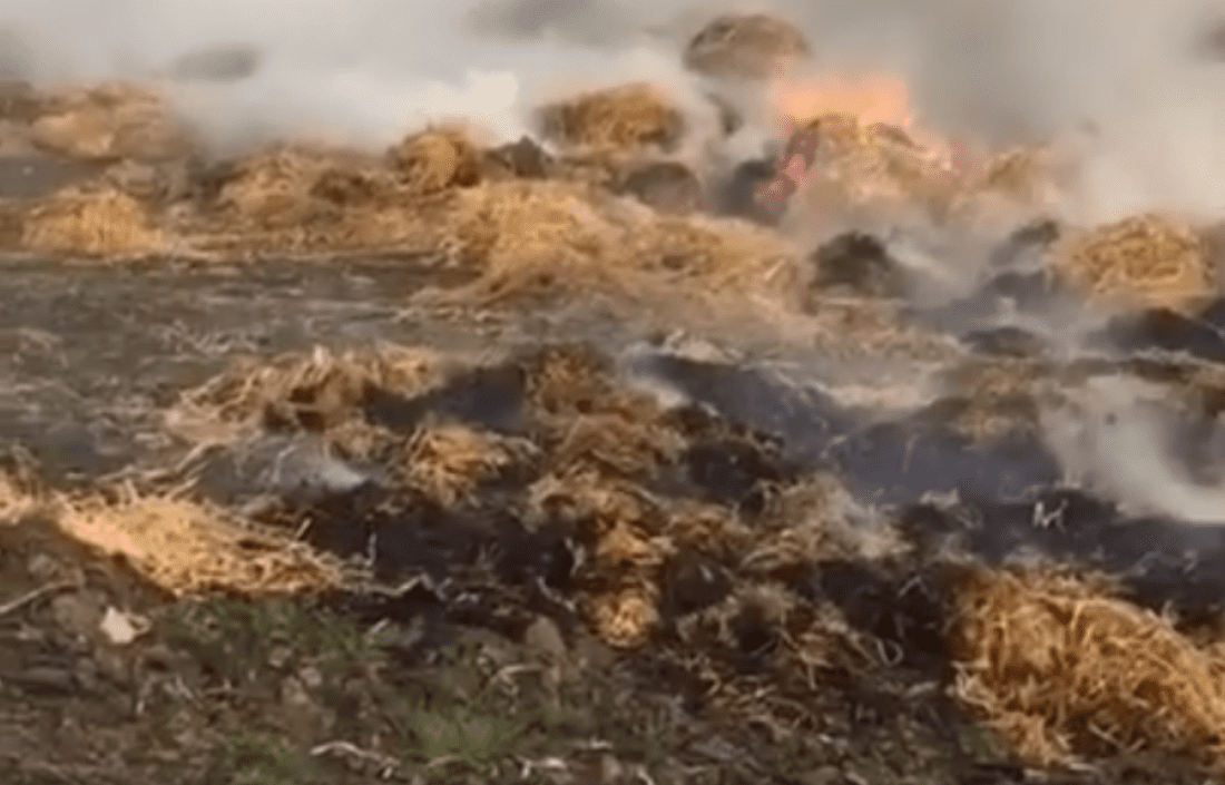 Christmas chaos: 50 bales lost in Kerry farm fire