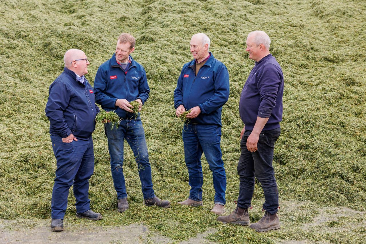 Survey highlights scope to make forage gains this season