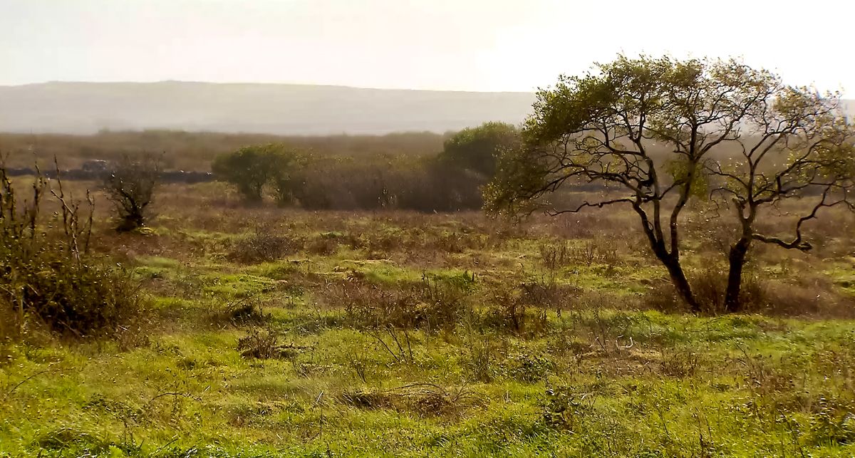 INHFA calls for 'reassessment' of designated land