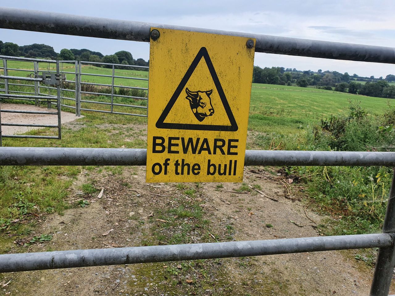 Thinking about bull safety as the breeding season continues