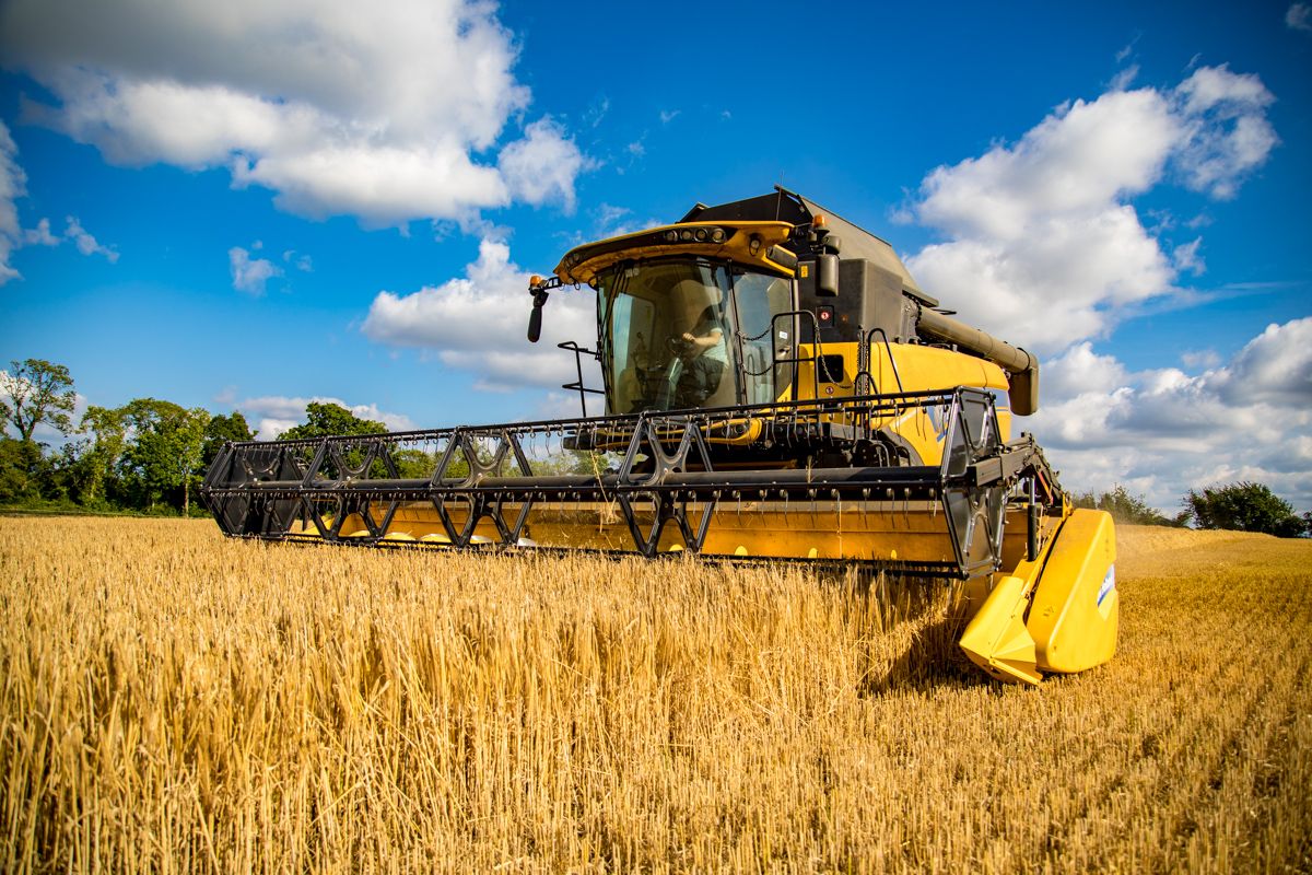 Is the Irish tillage industry facing a cliff edge?