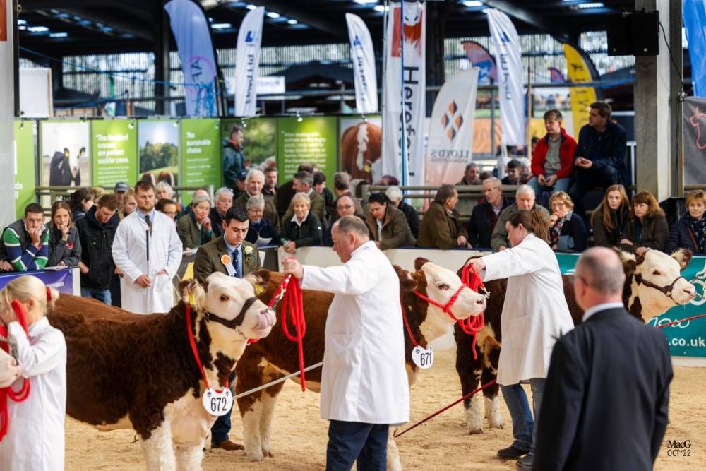 Meath man selected as judge for prominent UK livestock expo