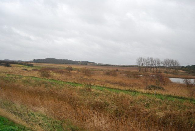 Farmers discuss inspections with European officials