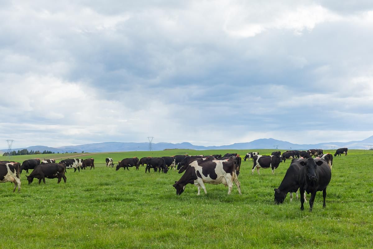 Ireland ranked 2nd worst member state in EU climate action report