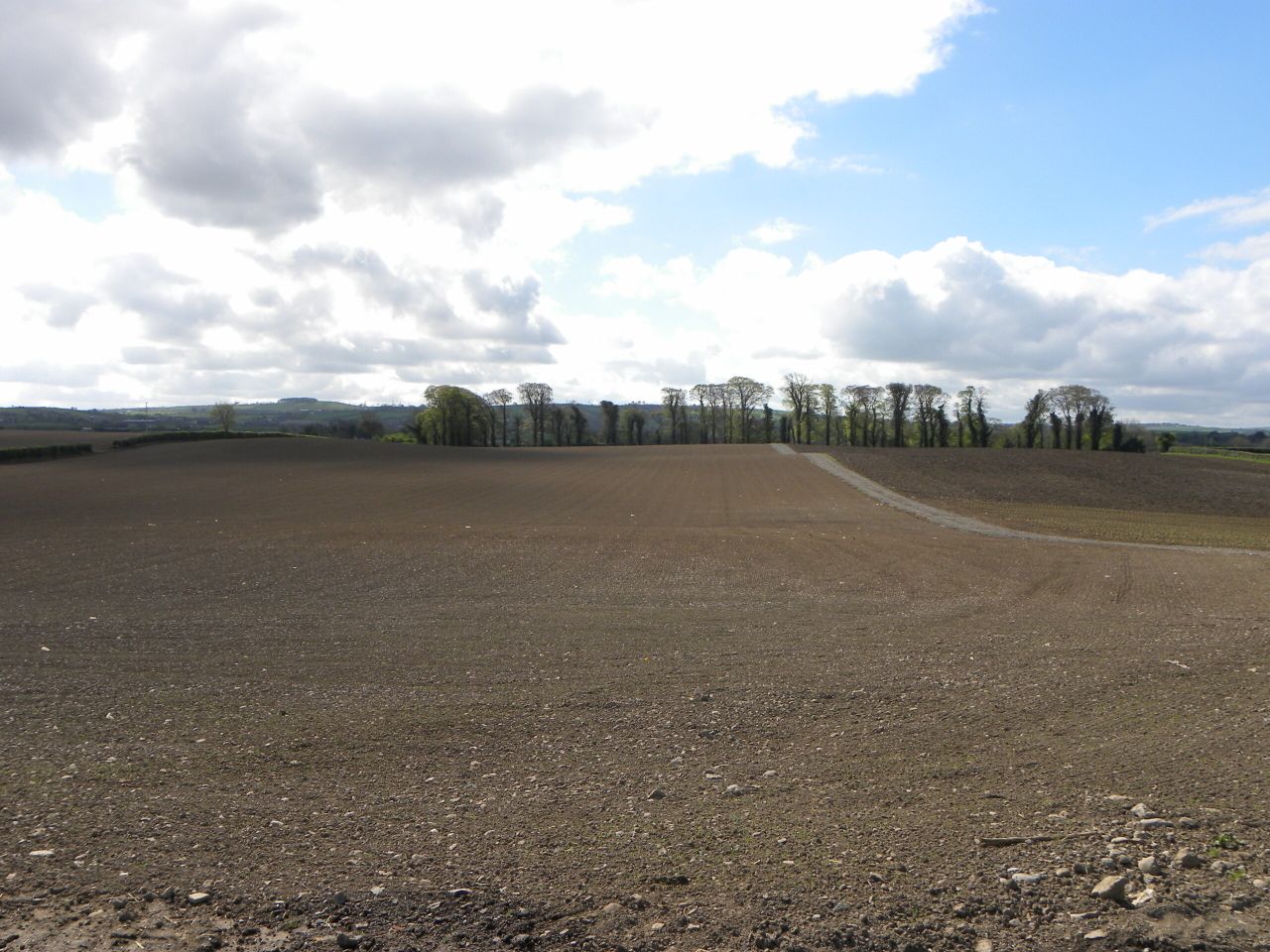 Teagasc tips for successful grass reseeding