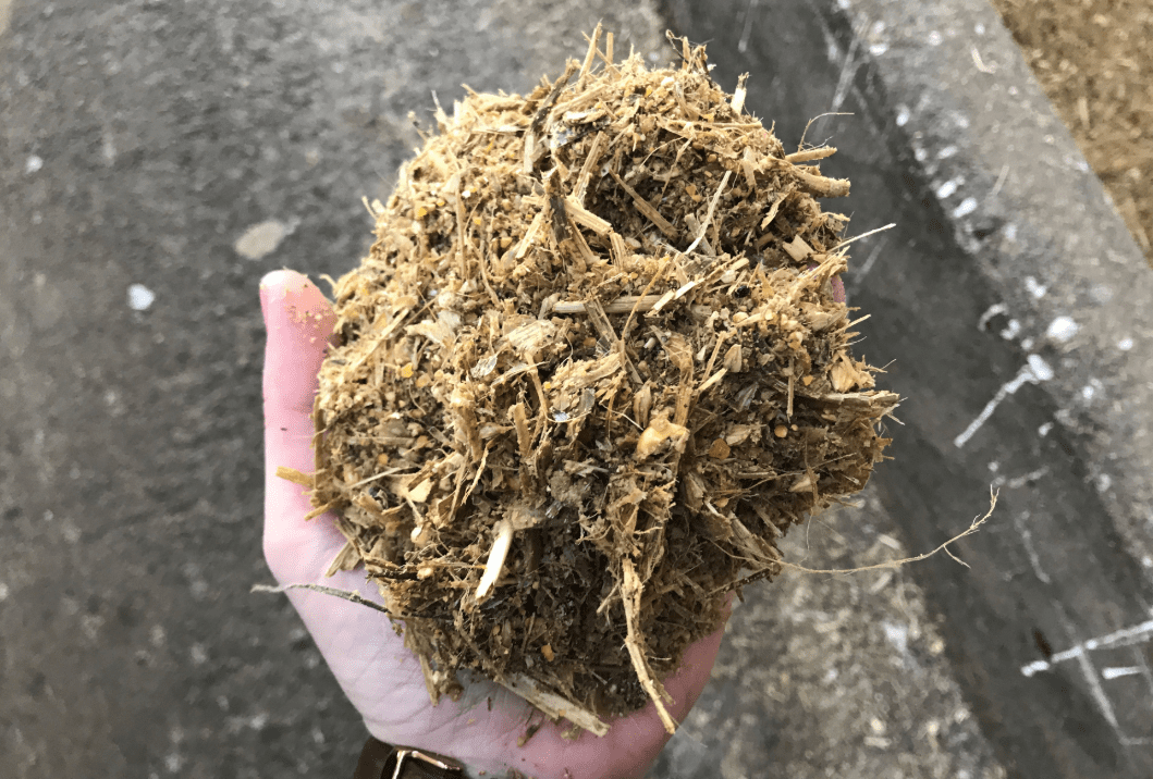 Ration composition: What should I feed to my finishing cattle?