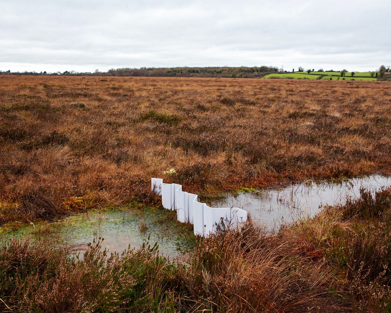 Working towards a new peatlands architecture