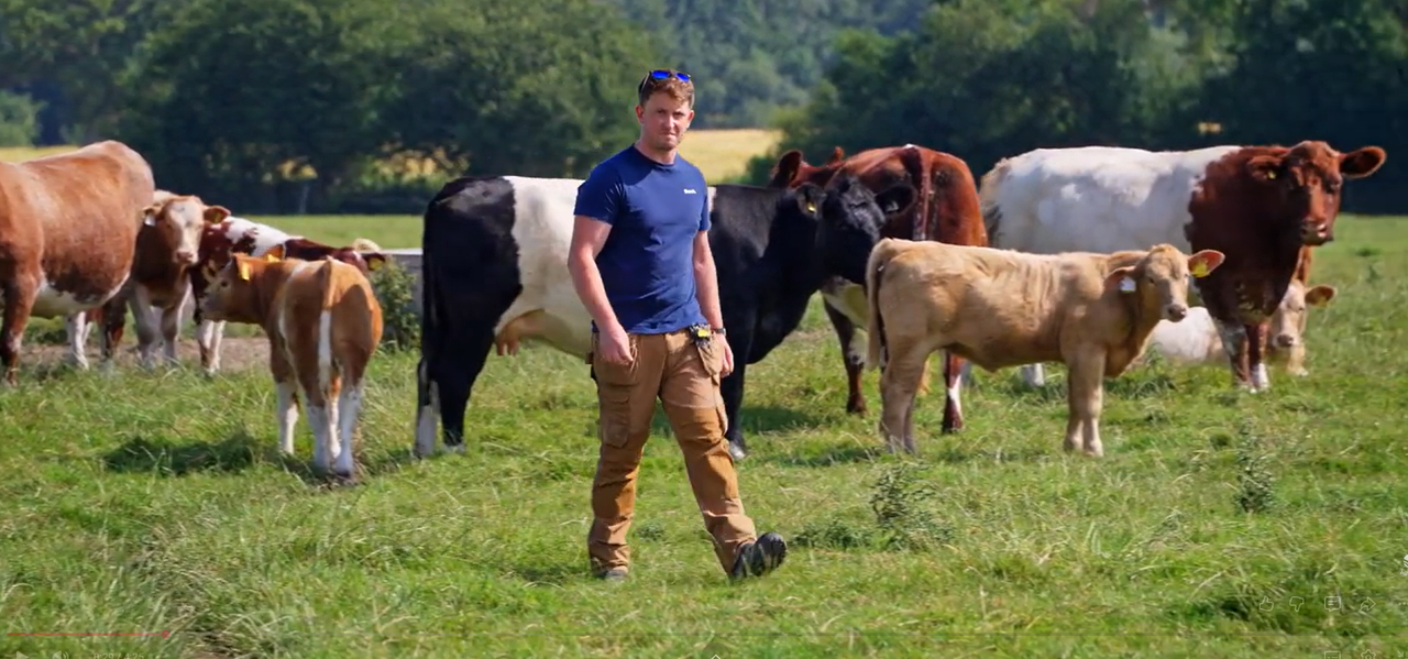 Watch: Insight from Laois beef farmer on Kepak Young Farmer Forum