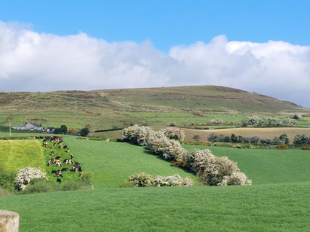 New course aims to make farms more pollinator friendly