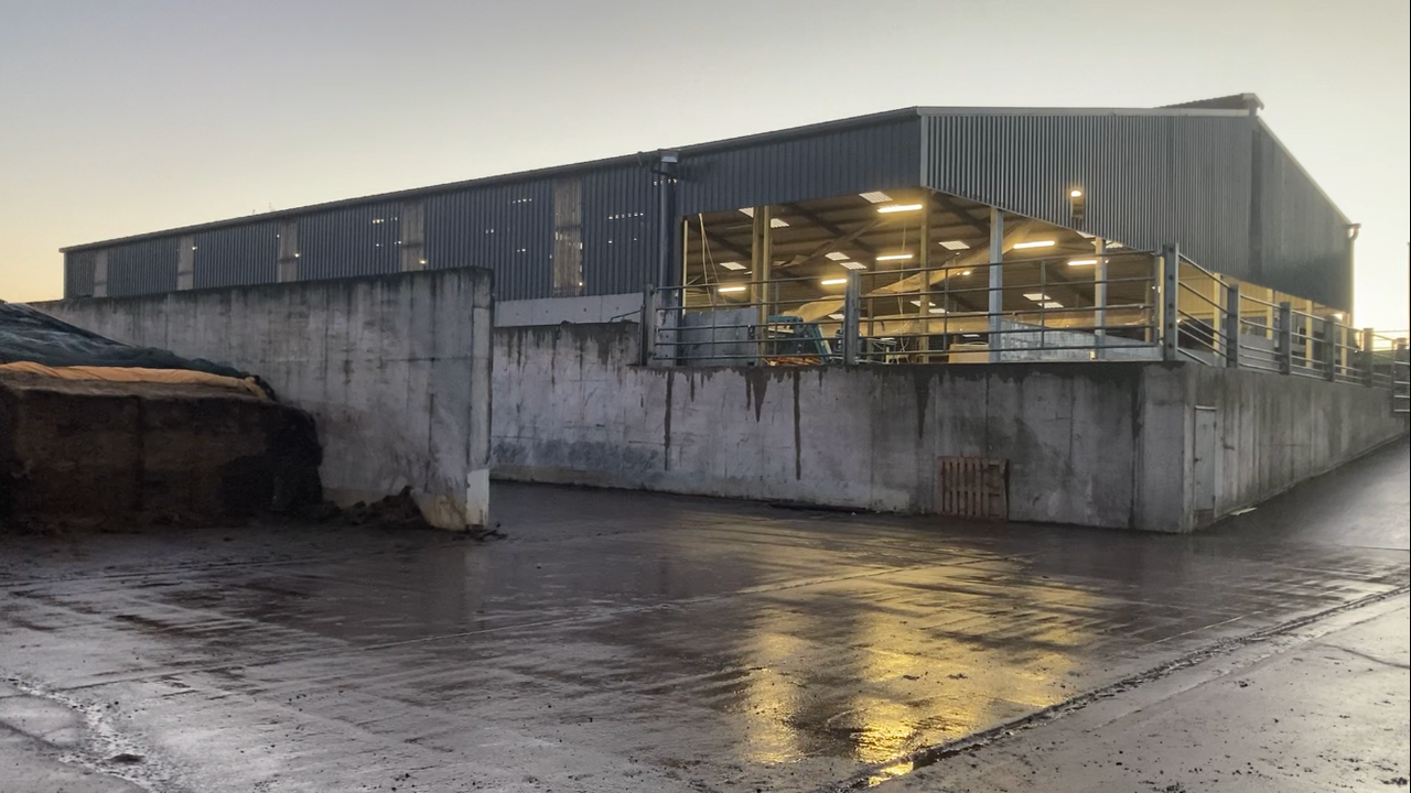 Buildings Focus: Milking and feeding Fleckvieh cows with robots in Monaghan