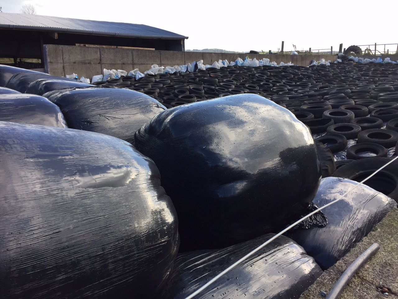 'No reason why suckler farmers shouldn't be able to make high-quality silage'