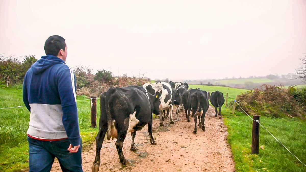 Tirlán launches new farm knowledge transfer programme