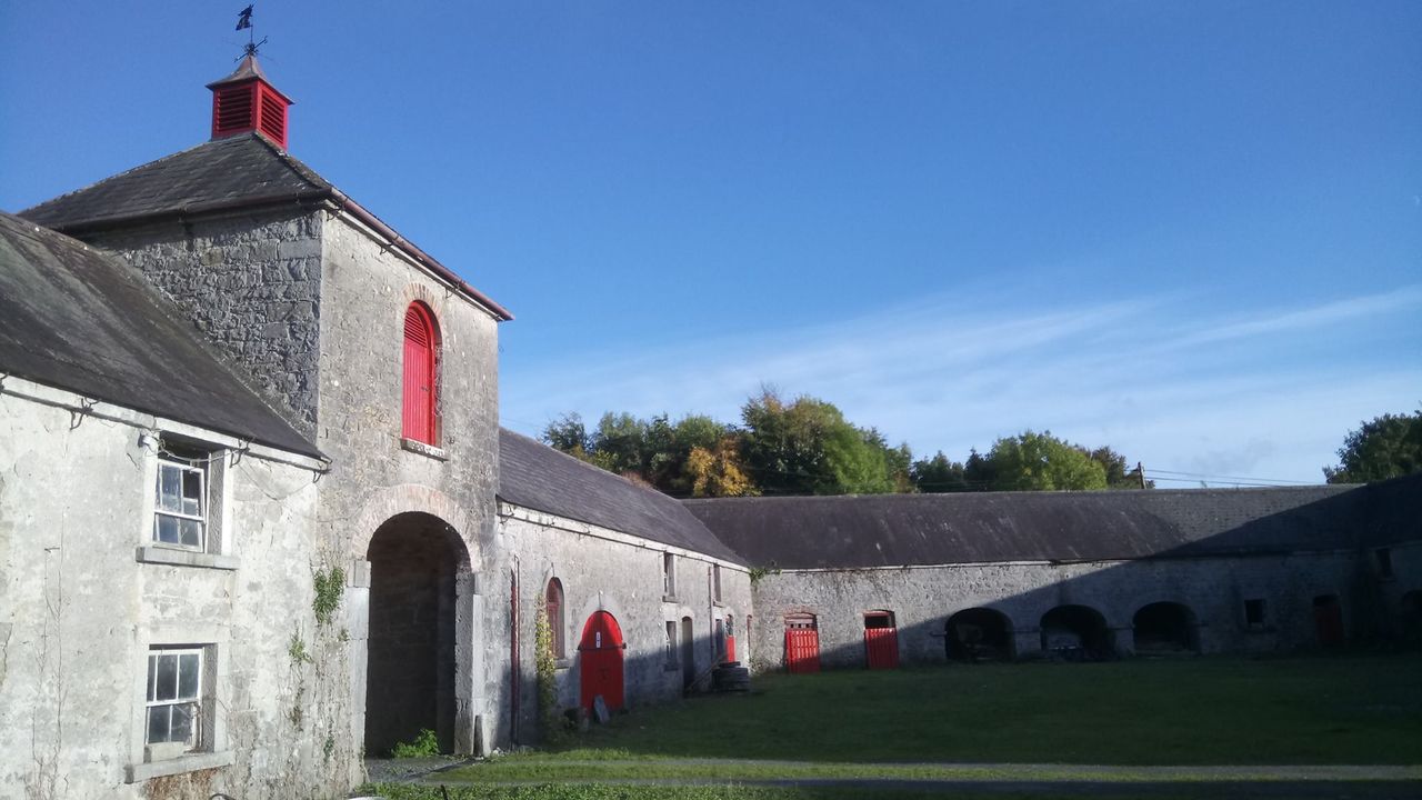 Laois farm to feature on RTE's 'A Wild Irish Year'