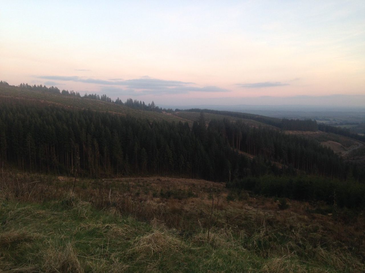 Gardaí involved in Coillte protection efforts