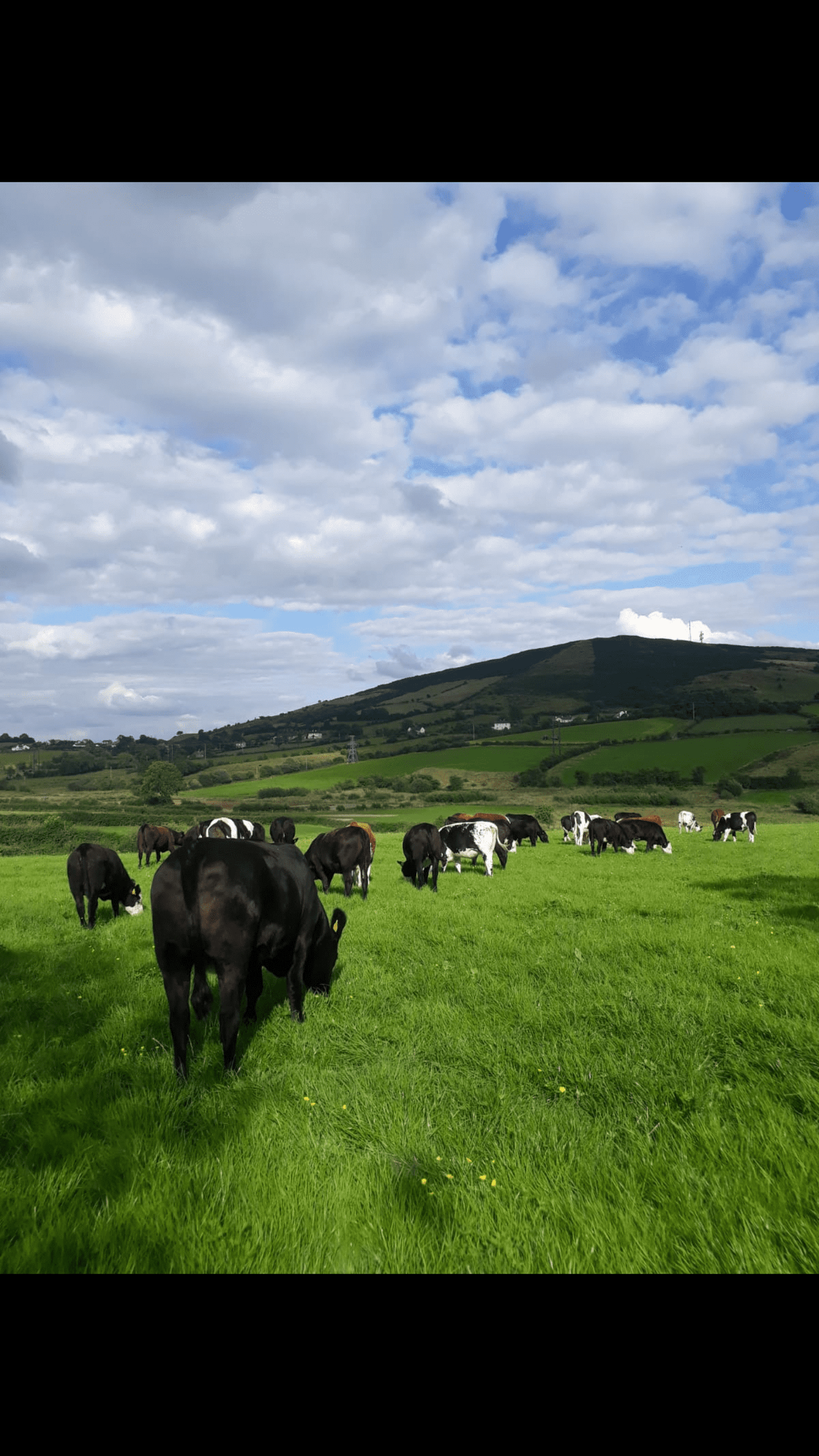 Climate Action Committee decides against GHG tax on agriculture