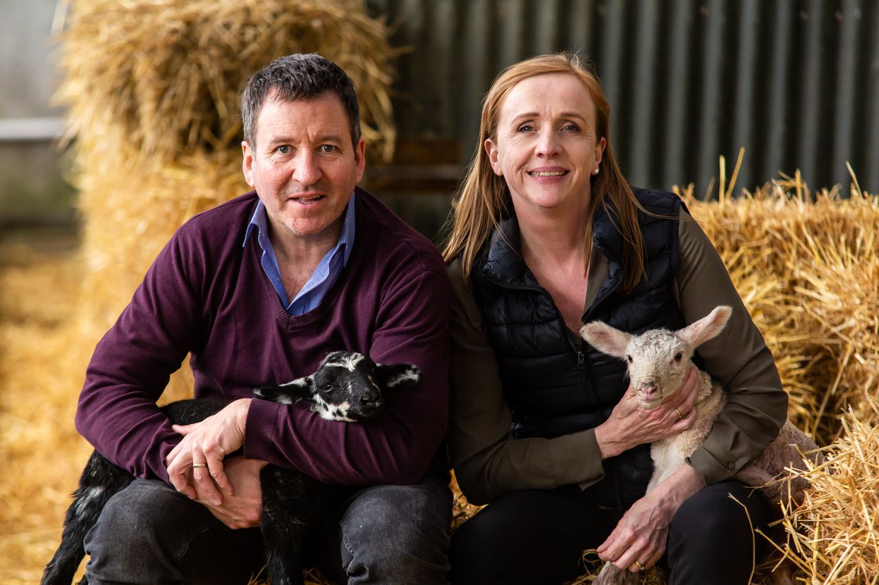 'We had to go from farmers to e-commerce experts overnight'