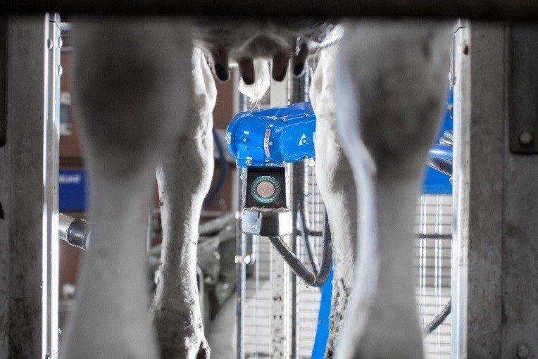 Operation automation: Teat spraying gets robotic revamp in Limerick