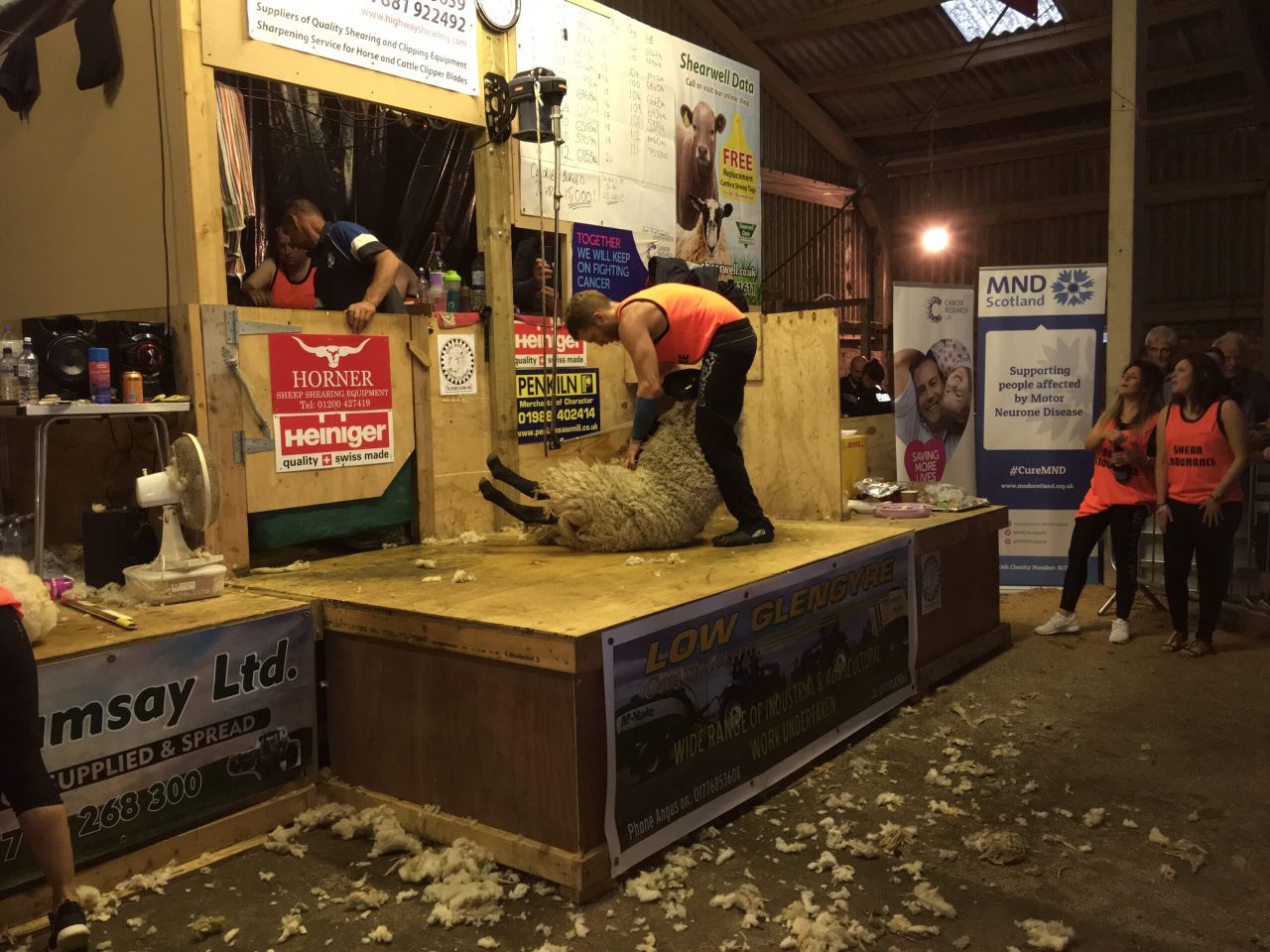 Pics: Scotsman shears 2,000 sheep in 50-hour marathon