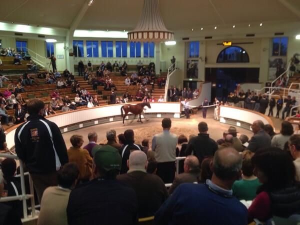 Coveney launches report for the sport horse industry