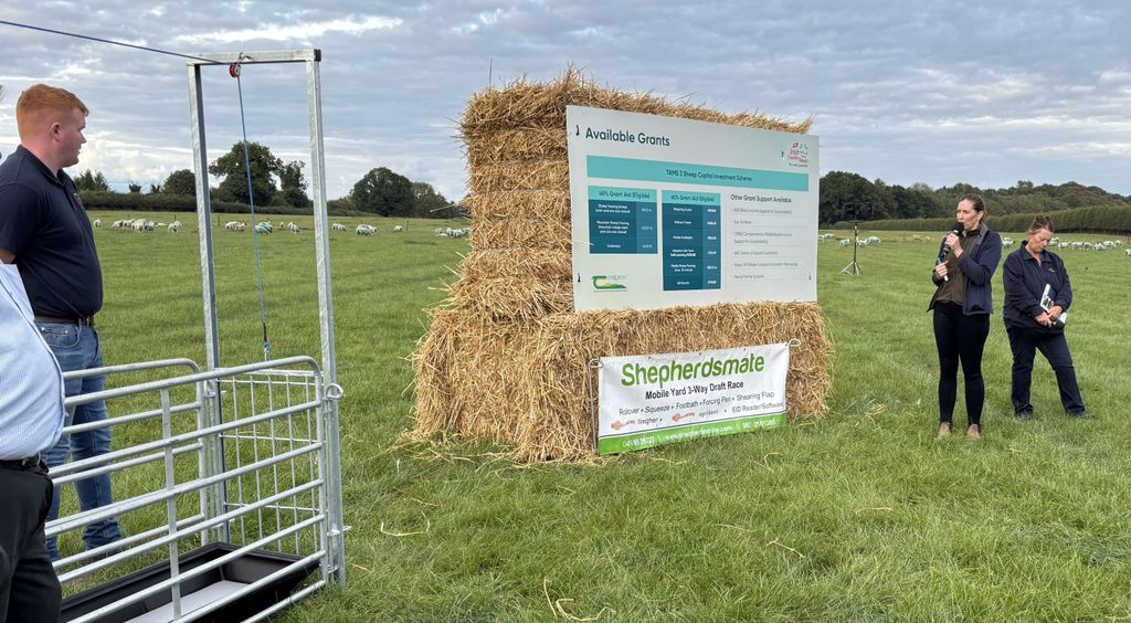 Aine Gaffney from Teagasc outlined some of the key grant supports that are avaliable to sheep farmers