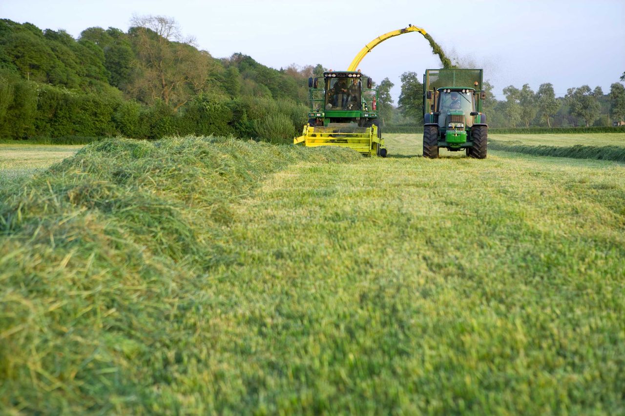 ICMSA calls for a fodder support scheme for 'all farmers'