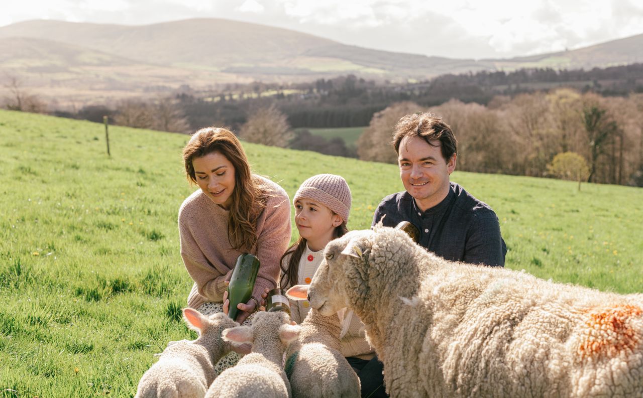 Wicklow wool business creates 'farm to yarn' network
