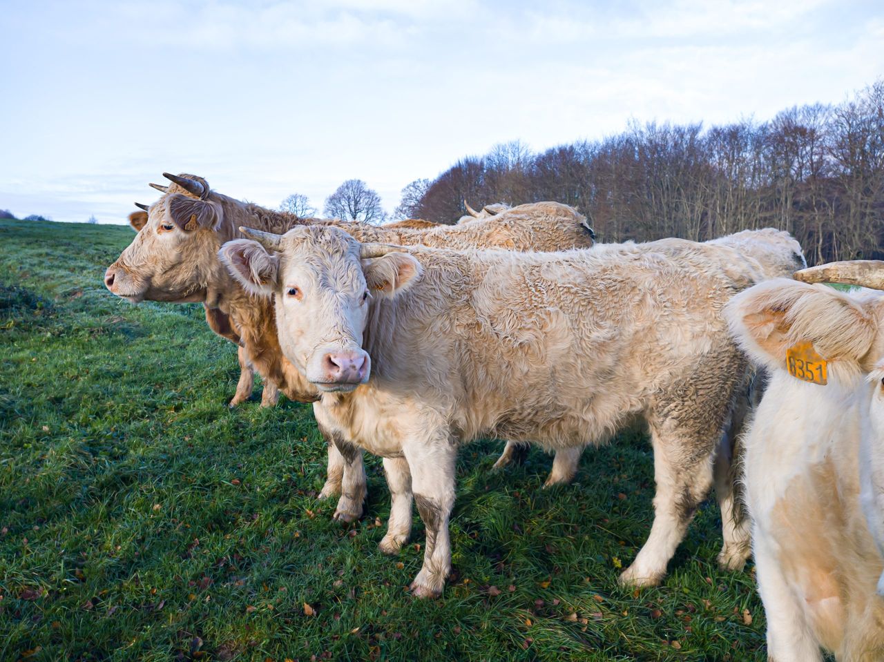 CSO: Agricultural output prices down 9.4% year-on-year