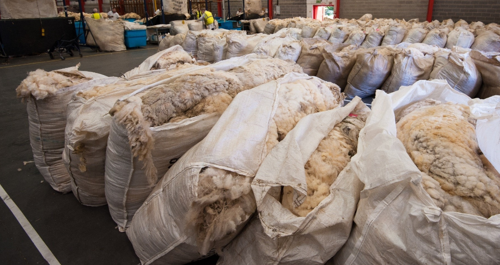 NI sheep farmers urged to 'use it or lose it' with wool board