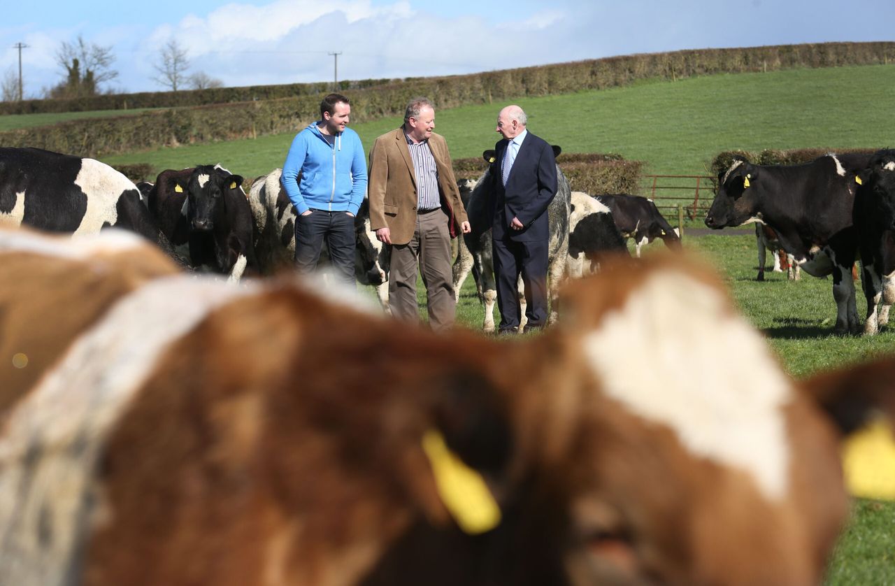 IFA to meet with Kerry over milk price and thirteenth payment as farmer anger grows