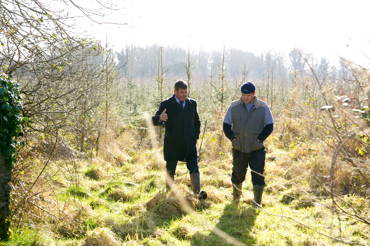 Doyle highlights importance of forestry in Galway