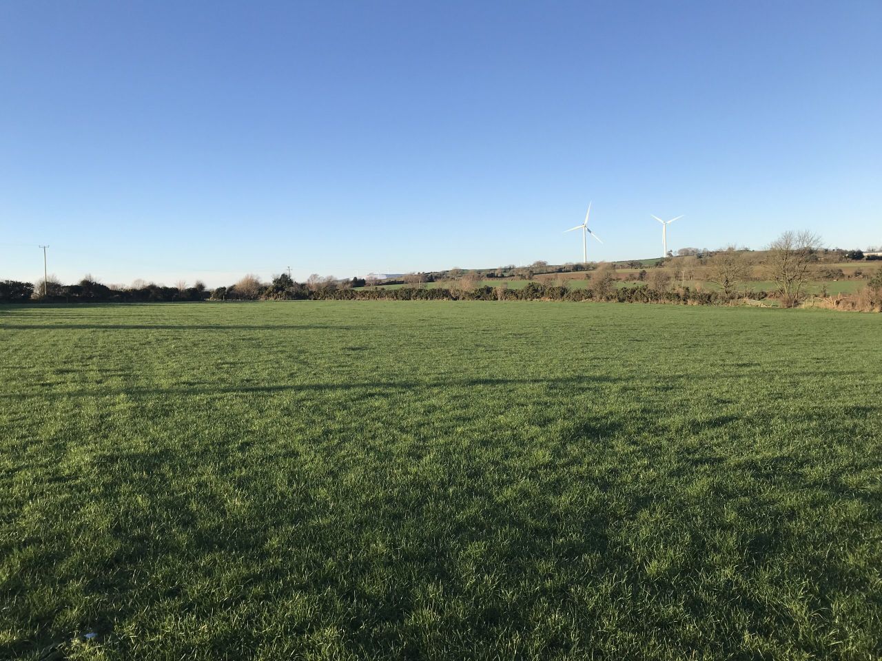 Two Wexford roadside holdings to go for auction