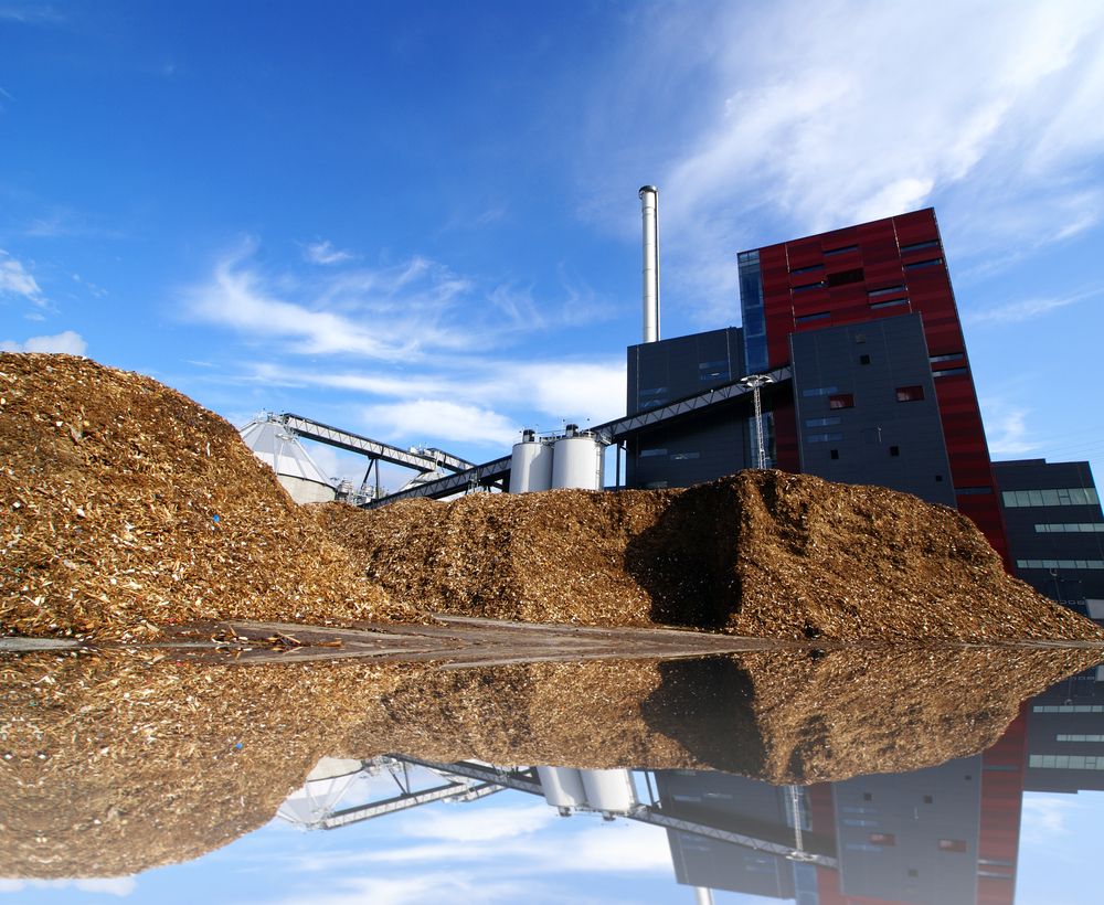 Bioeconomy Implementation Group issues first report to Government