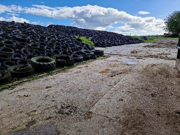 Grey water was diverted from the farmyard (above) into the settlement tank (right) before being released into the willow bed