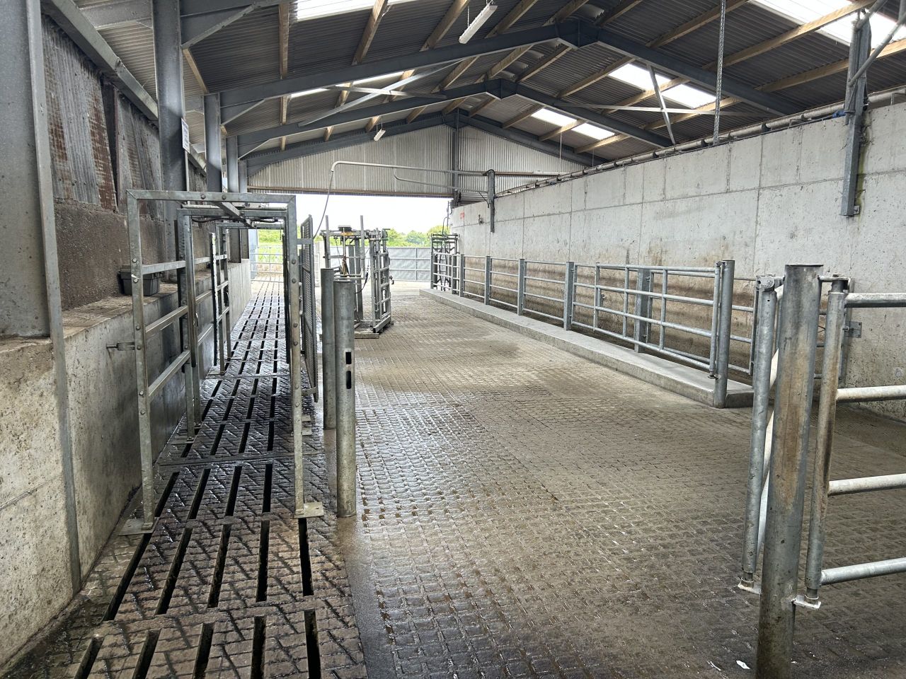Ideal farmyard design and utilising grant aid in Co. Waterford