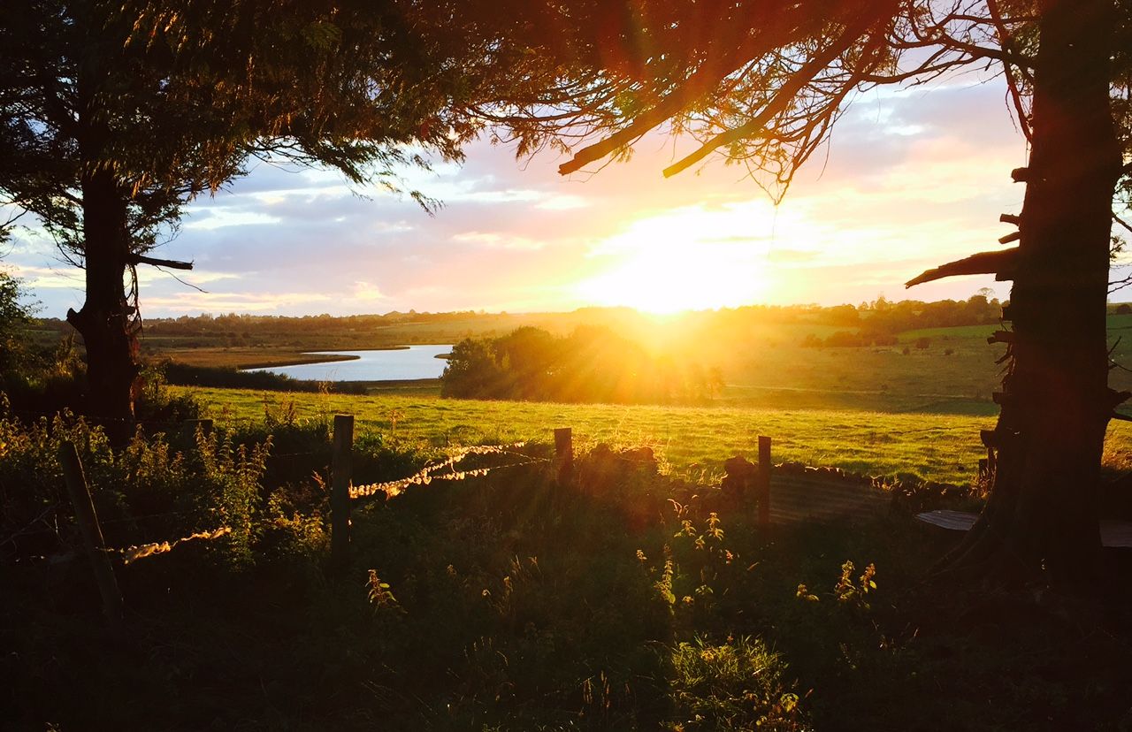 Growth to accelerate this week as parts of the country remain completely dry - Met Eireann