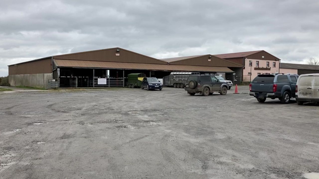 Mountbellew Mart licence temporarily suspended