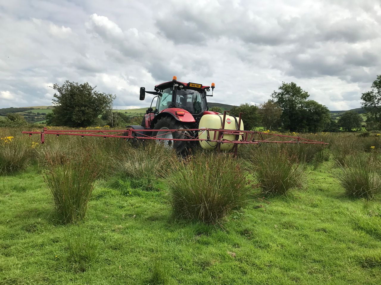 Weed control: Now is the time to consider spraying