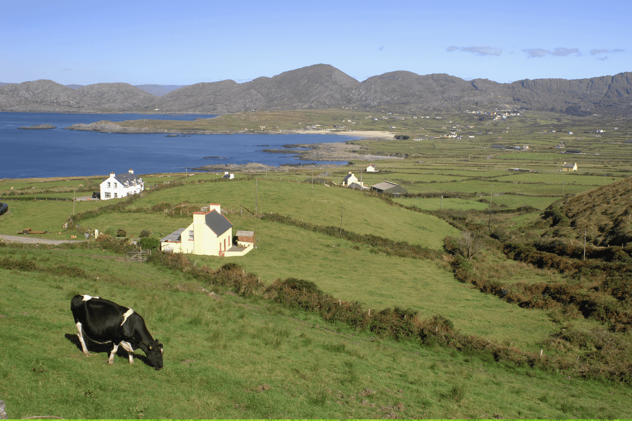 Farmers 'cannot afford to wait' until 2040 for new EU vision - farm org